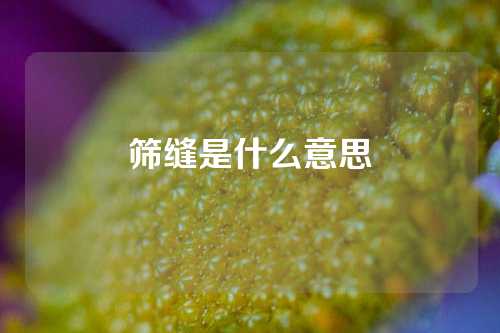 筛缝是什么意思