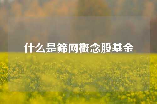 什么是筛网概念股基金