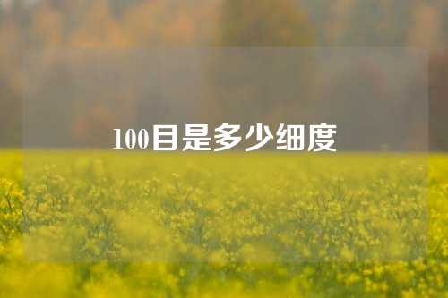 100目是多少细度