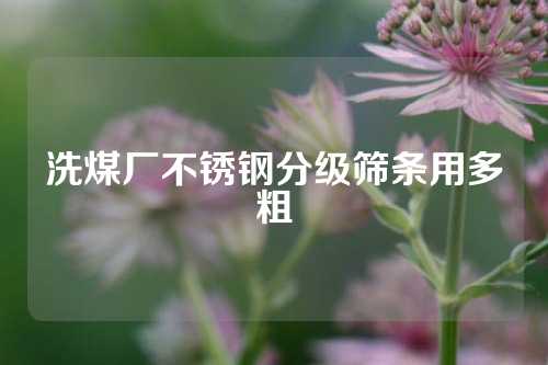 洗煤厂不锈钢分级筛条用多粗