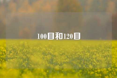 100目和120目