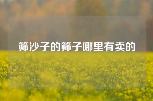 筛沙子的筛子哪里有卖的