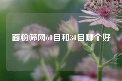 面粉筛网60目和30目哪个好