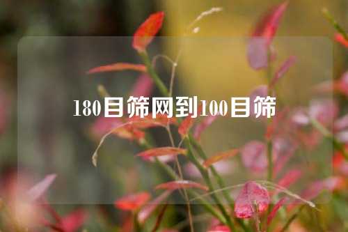 180目筛网到100目筛