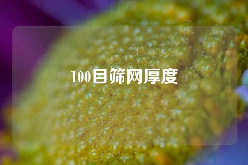 100目筛网厚度