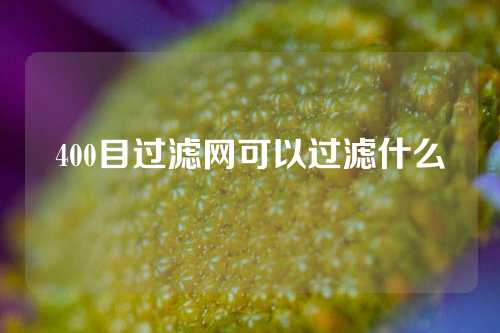 400目过滤网可以过滤什么