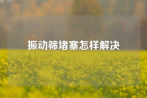 振动筛堵塞怎样解决