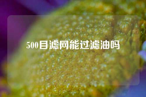 500目滤网能过滤油吗