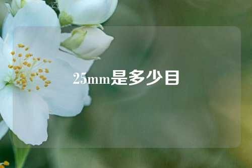 25mm是多少目