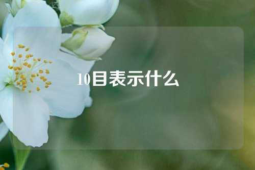 10目表示什么