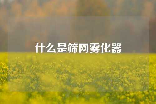 什么是筛网雾化器