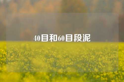 40目和60目段泥