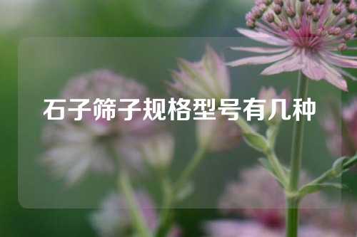 石子筛子规格型号有几种