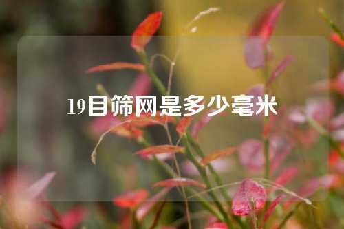 19目筛网是多少毫米