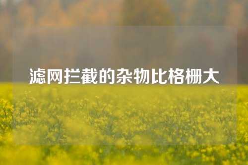 滤网拦截的杂物比格栅大