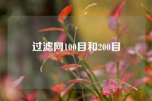 过滤网100目和200目