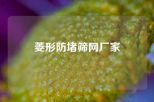 菱形防堵筛网厂家