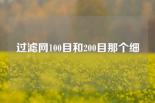 过滤网100目和200目那个细