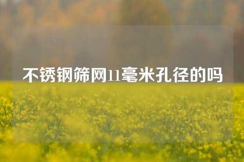 不锈钢筛网11毫米孔径的吗