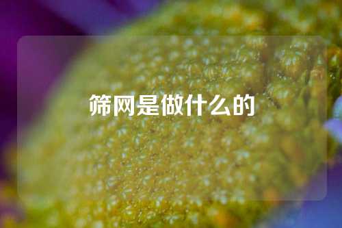 筛网是做什么的