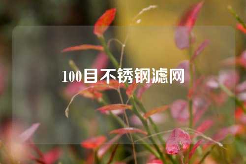 100目不锈钢滤网