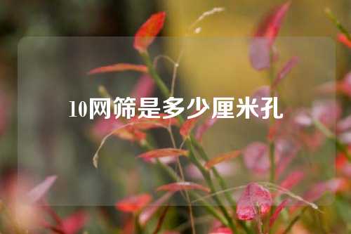 10网筛是多少厘米孔