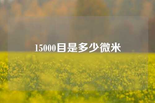 15000目是多少微米