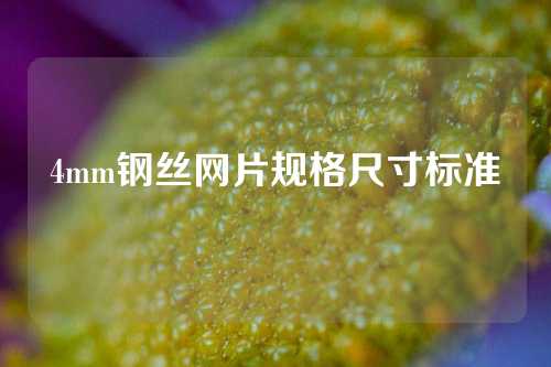 4mm钢丝网片规格尺寸标准