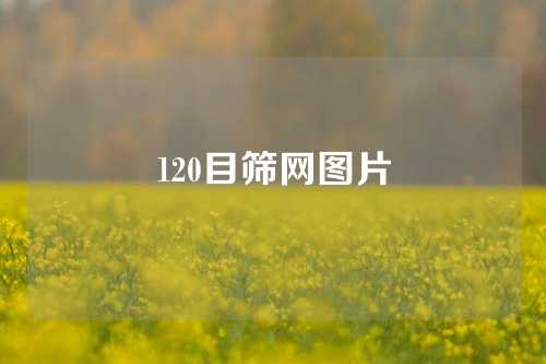 120目筛网图片