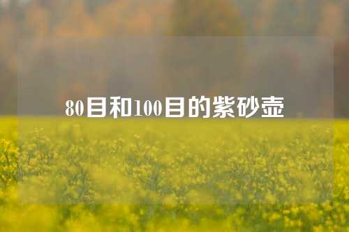 80目和100目的紫砂壶