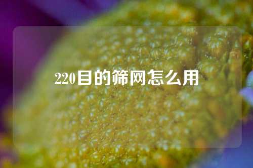 220目的筛网怎么用