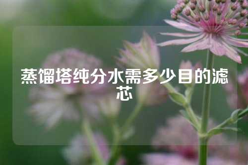 蒸馏塔纯分水需多少目的滤芯