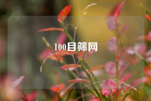 100目筛网