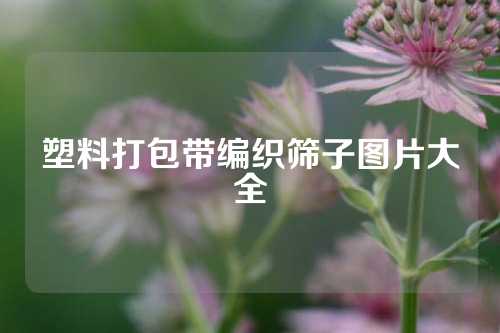 塑料打包带编织筛子图片大全