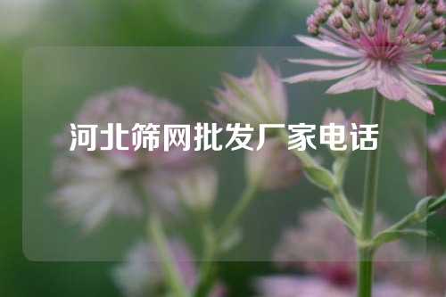 河北筛网批发厂家电话