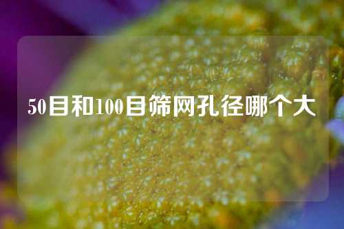 50目和100目筛网孔径哪个大