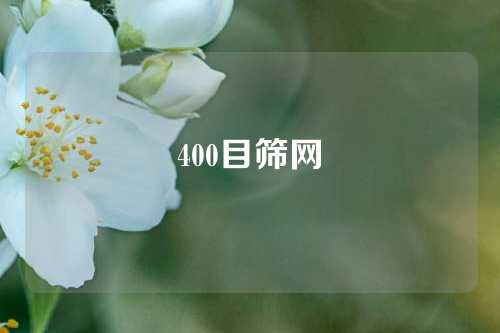 400目筛网