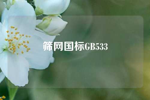 筛网国标GB533