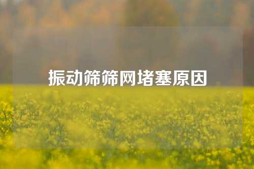 振动筛筛网堵塞原因