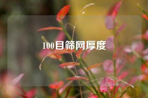 100目筛网厚度