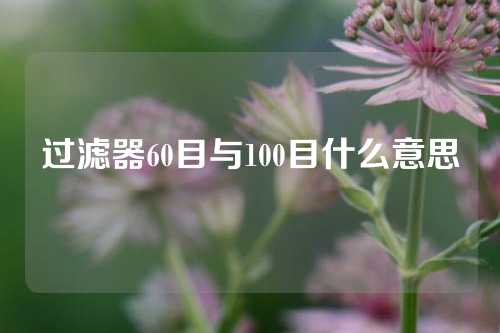 过滤器60目与100目什么意思