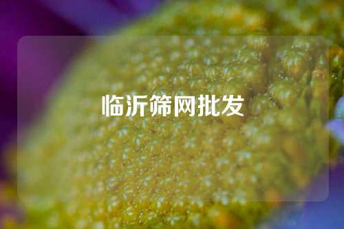 临沂筛网批发