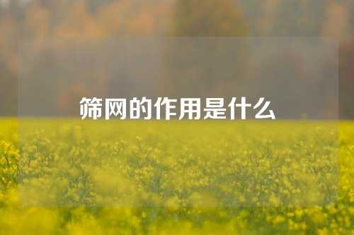 筛网的作用是什么