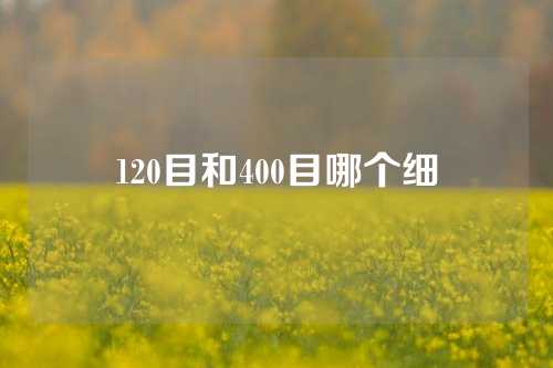 120目和400目哪个细