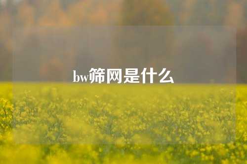 bw筛网是什么