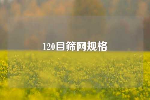 120目筛网规格